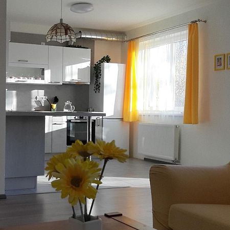 Rodinny Apartman Lucie V Blizkosti Wellness Hotelu Ve Frymburku 외부 사진