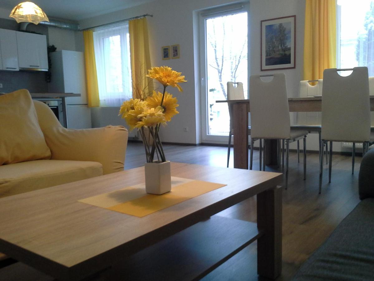 Rodinny Apartman Lucie V Blizkosti Wellness Hotelu Ve Frymburku 외부 사진