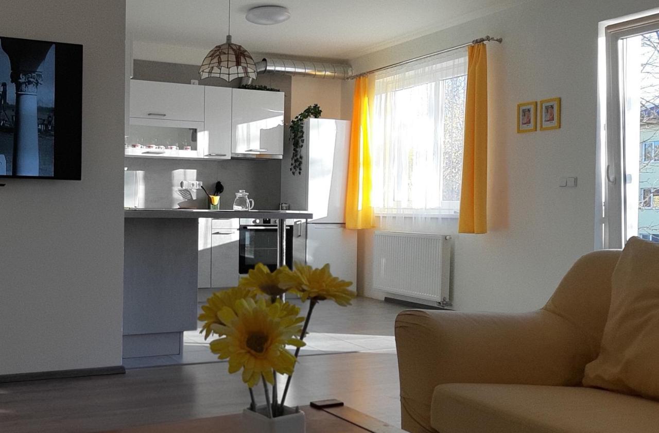 Rodinny Apartman Lucie V Blizkosti Wellness Hotelu Ve Frymburku 외부 사진