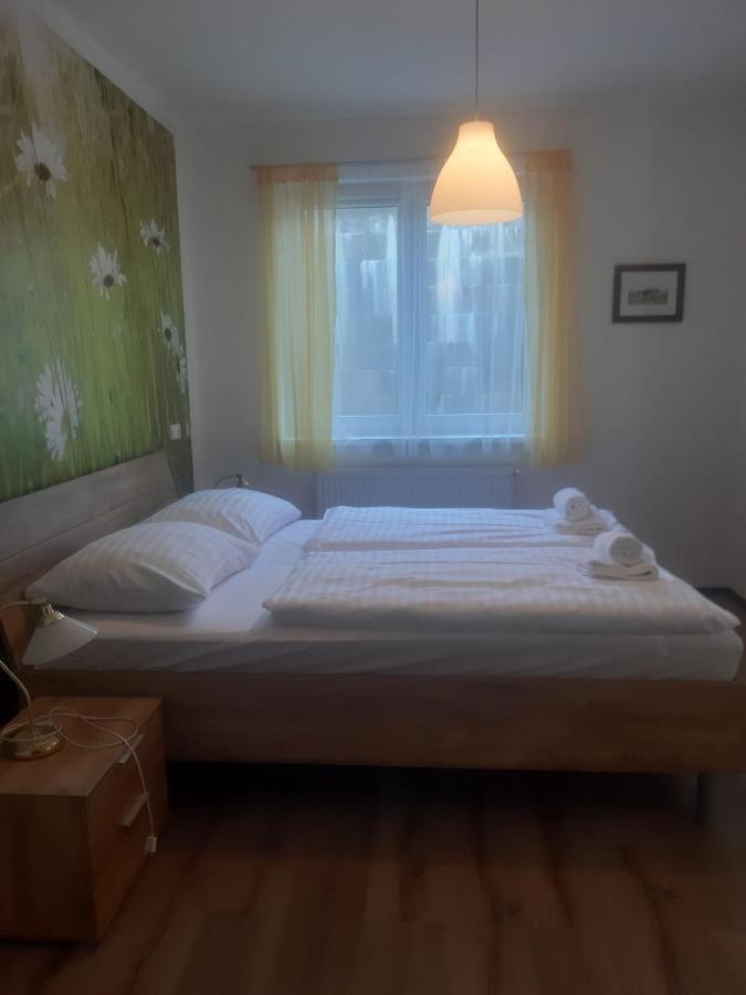 Rodinny Apartman Lucie V Blizkosti Wellness Hotelu Ve Frymburku 외부 사진