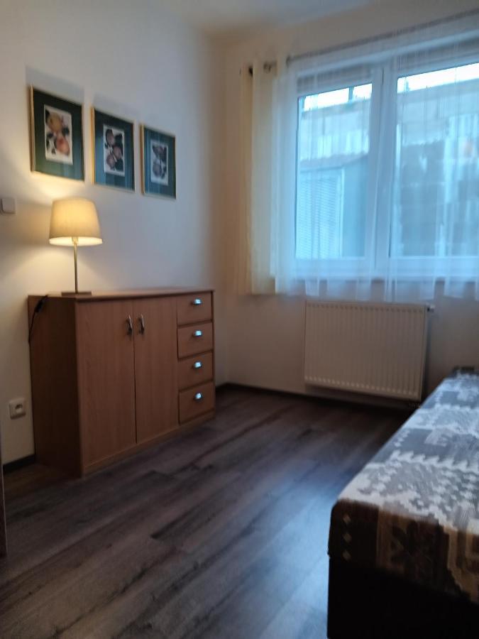 Rodinny Apartman Lucie V Blizkosti Wellness Hotelu Ve Frymburku 외부 사진